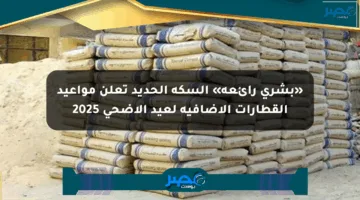 «بشرى رائعة» السكة الحديد تعلن مواعيد القطارات الإضافية لعيد الأضحى 2025